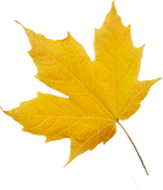 Peppa tanzt in den Herbst