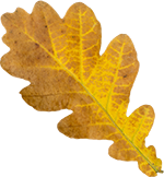 Peppa tanzt in den Herbst