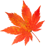 Peppa tanzt in den Herbst