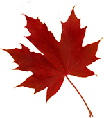 Peppa tanzt in den Herbst