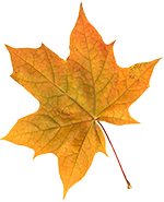 Peppa tanzt in den Herbst