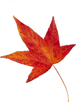 Peppa tanzt in den Herbst