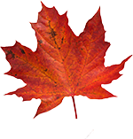 Peppa tanzt in den Herbst