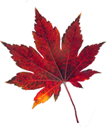 Peppa tanzt in den Herbst