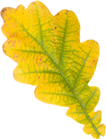 Peppa tanzt in den Herbst