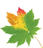 Peppa tanzt in den Herbst