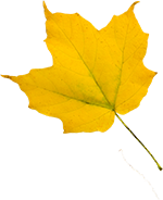 Peppa tanzt in den Herbst