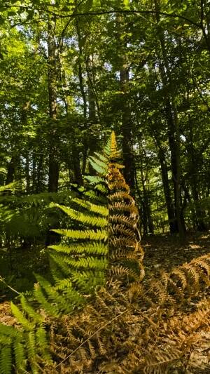 Und was kommt nach tausend?