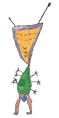 test test
